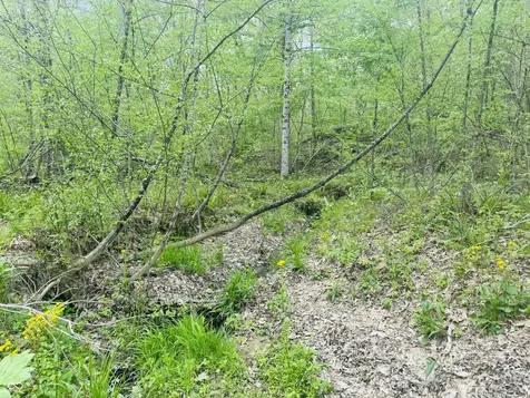 Lot 3 - Eagle View Mt Healthy Road Columbus IN 47201