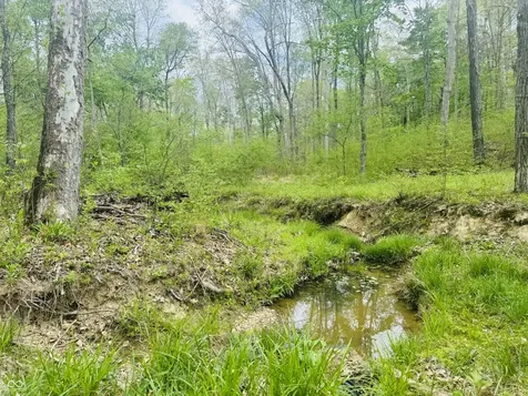 Lot 3 - Eagle View Mt Healthy Road Columbus IN 47201