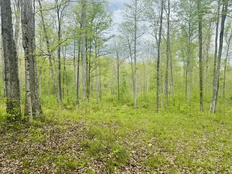 Lot 3 - Eagle View Mt Healthy Road Columbus IN 47201