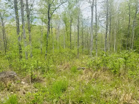 Lot 3 - Eagle View Mt Healthy Road Columbus IN 47201