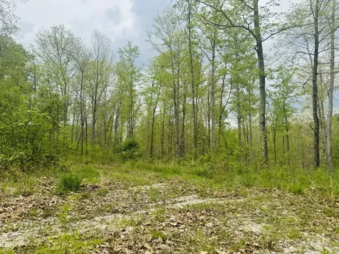 Lot 3 - Eagle View Mt Healthy Road Columbus IN 47201