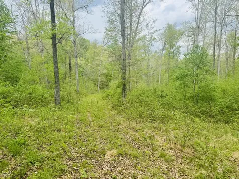 Lot 3 - Eagle View Mt Healthy Road Columbus IN 47201