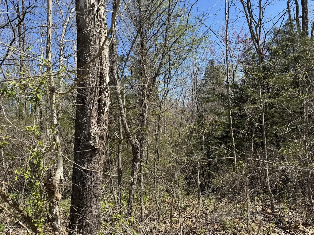 Lot B-21 State Highway 46 Spencer IN 47460