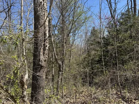 Lot B-21 State Highway 46 Spencer IN 47460
