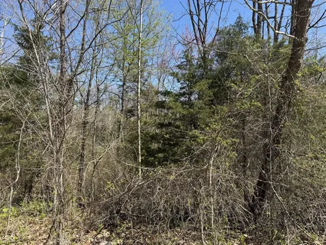 Lot B-21 State Highway 46 Spencer IN 47460