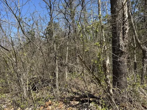 Lot B-21 State Highway 46 Spencer IN 47460