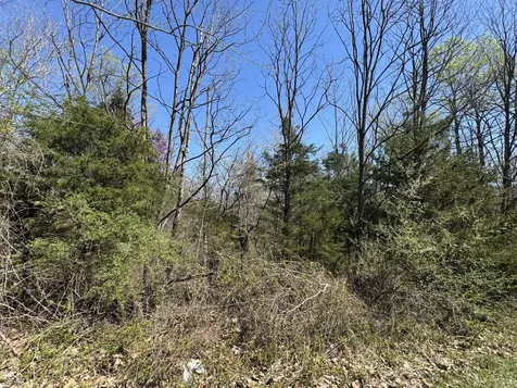 Lot B-21 State Highway 46 Spencer IN 47460