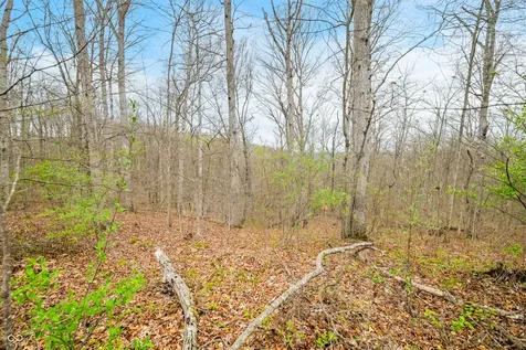 4100 Block Of Lower Schooner Road Nashville IN 47448