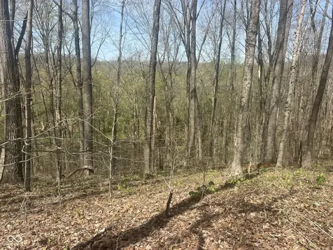 4100 Block Of Lower Schooner Road Nashville IN 47448