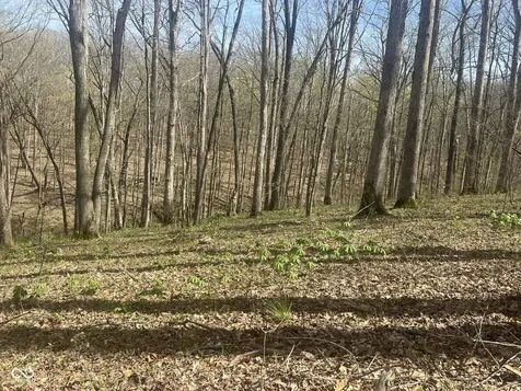 4100 Block Of Lower Schooner Road Nashville IN 47448
