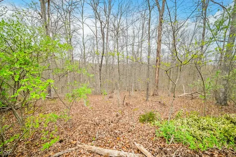 4100 Block Of Lower Schooner Road Nashville IN 47448
