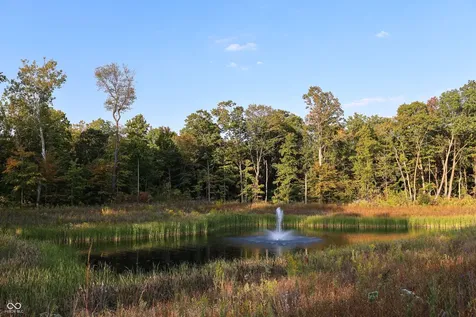 9875 Baneberry Carmel IN 46290