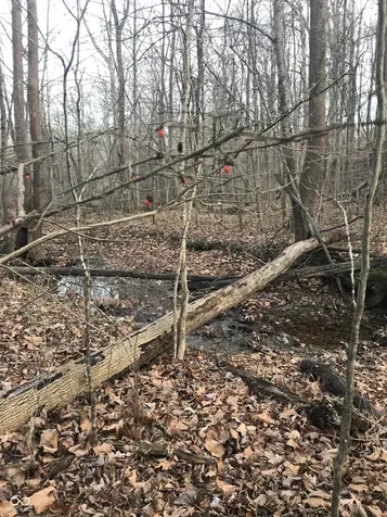 600 South Reelsville IN 46171