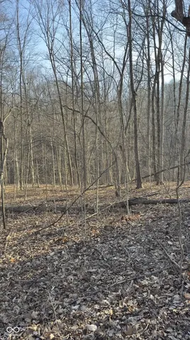 600 South Reelsville IN 46171