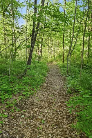 2594 E Traction Road Crawfordsville IN 47933