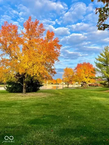 7513 Castleton Farms West Drive Indianapolis IN 46256