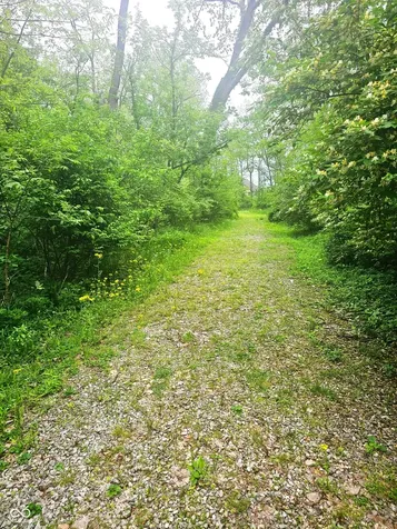 10304 Fallen Oak Drive Indianapolis IN 46239