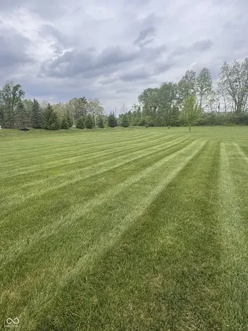 9208 Branch View Drive Indianapolis IN 46234