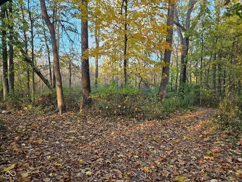 17134 Little Eagle Creek Avenue Westfield IN 46074