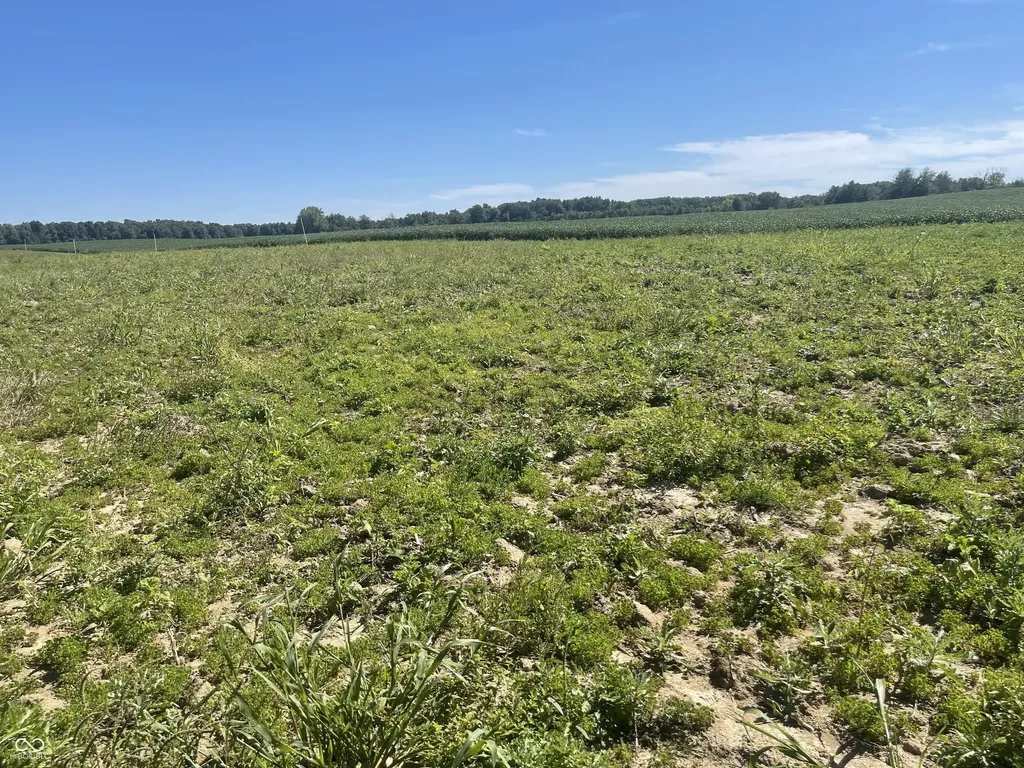 1 W Cr 990 North Tract "G" Elizabethtown IN 47232