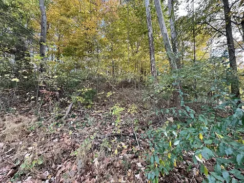0 Foxcliff East Drive S Martinsville IN 46151