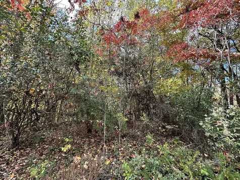 0 Foxcliff East Drive S Martinsville IN 46151