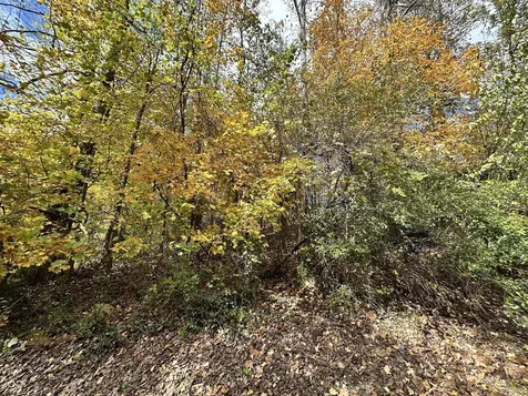 0 Foxcliff East Drive S Martinsville IN 46151
