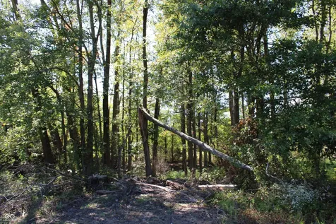 Tract 9 7530 W Private Road 775 S Commiskey IN 47227