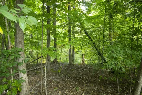 13562 Creekridge Lane Fishers IN 46055