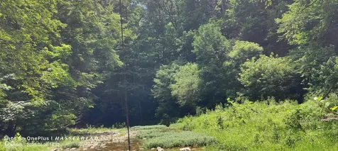 11182 S County Road 280 W Westport IN 47283