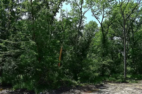 Lot 1 Whitetail Ridge Mooresville IN 46158