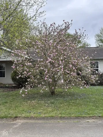 3758 S Walter Avenue Bloomington IN 47403