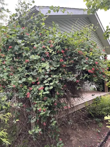 3758 S Walter Avenue Bloomington IN 47403