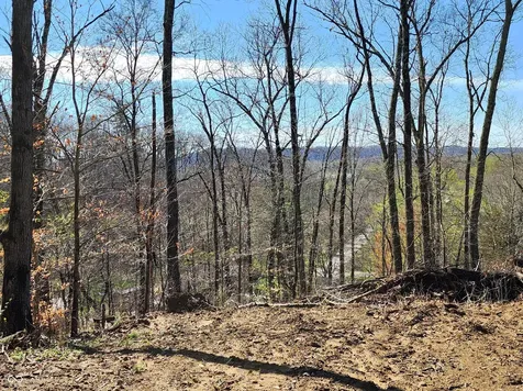 Lot 5 Goat Hollow Estates Martinsville IN 46151