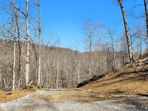 Lot 5 Goat Hollow Estates Martinsville IN 46151