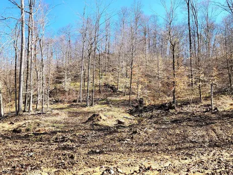 Lot 5 Goat Hollow Estates Martinsville IN 46151