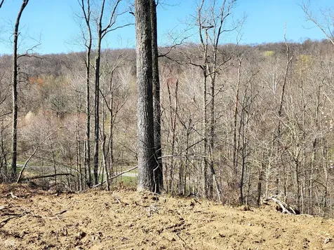 Lot 5 Goat Hollow Estates Martinsville IN 46151