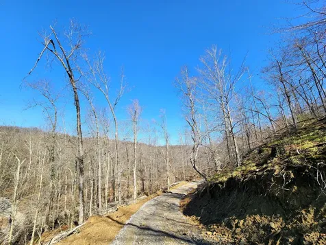 Lot 5 Goat Hollow Estates Martinsville IN 46151