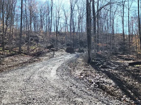 Lot 5 Goat Hollow Estates Martinsville IN 46151