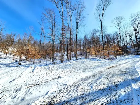 Lot 5 Goat Hollow Estates Martinsville IN 46151