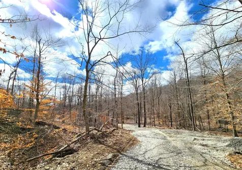 Lot 2 Goat Hollow Estates Road Martinsville IN 46151
