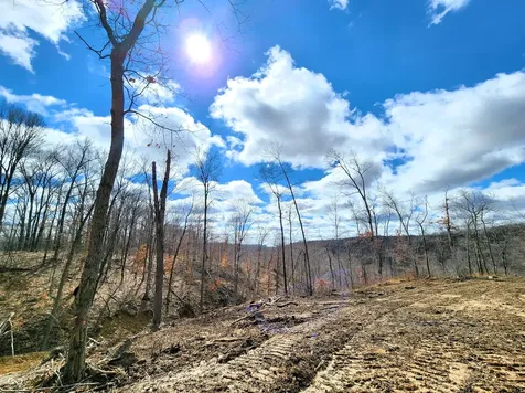 Lot 2 Goat Hollow Estates Road Martinsville IN 46151