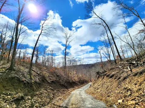 Lot 2 Goat Hollow Estates Road Martinsville IN 46151