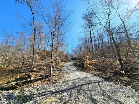 Lot 2 Goat Hollow Estates Road Martinsville IN 46151