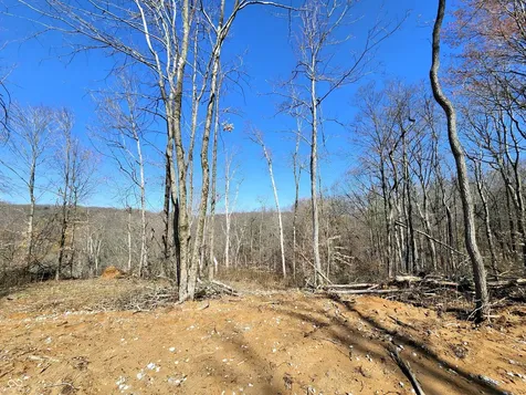 Lot 2 Goat Hollow Estates Road Martinsville IN 46151