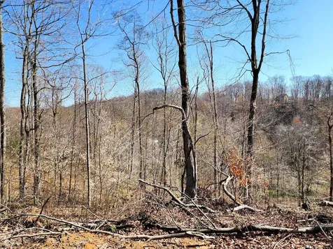 0 Goat Hollow Estates Lot 1 Martinsville IN 46151