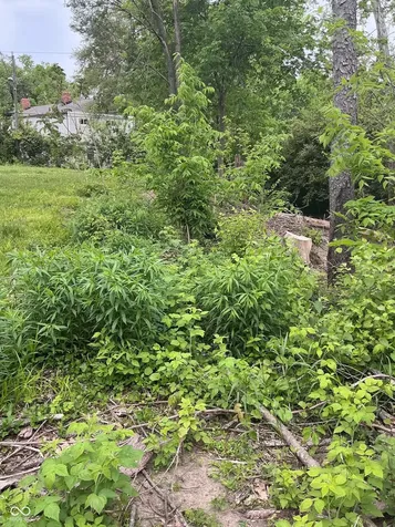 1943 Dequincy Street Indianapolis IN 46218