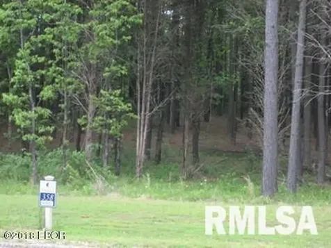 Lot 358 Parrish Ridge Lane Goreville IL 62939