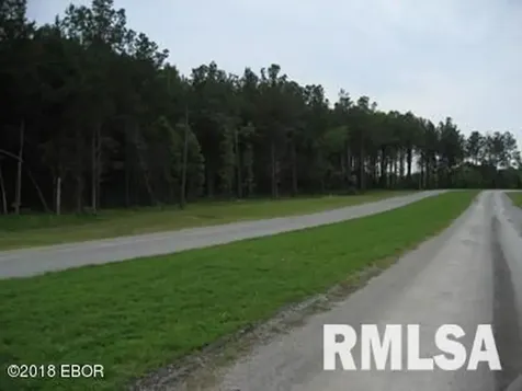 Lot 358 Parrish Ridge Lane Goreville IL 62939
