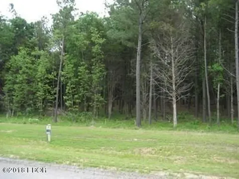 Lot 358 Parrish Ridge Lane Goreville IL 62939